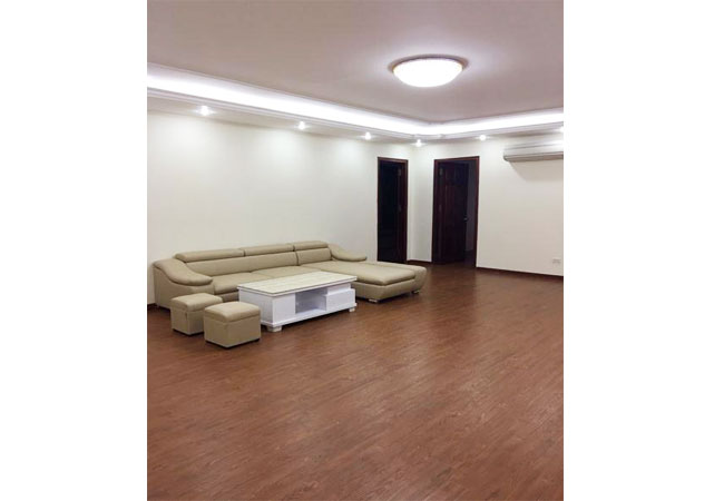 Brand new apartment with 3 bedrooms near Lotte Mart 