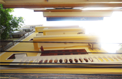 Nhà cho thuê Đặng Thai Mai, quận Tây Hồ, một phần đồ 